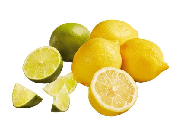 XXL Lemon & Lime Net