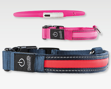 Collier LED pour chiens ROMEO