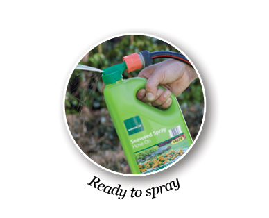Seaweed Spray Hose On 2 x 2L