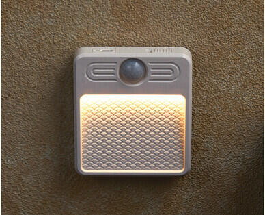 Neon Flex Light or Night Light