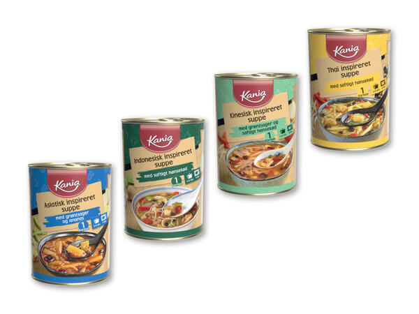 Asiatisk suppe
