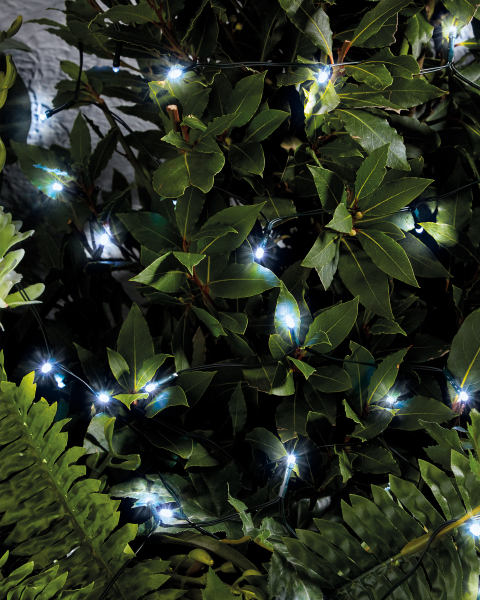 100 Garden LED Solar String Lights