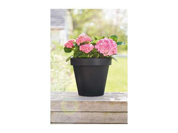 Livarno Home Planter