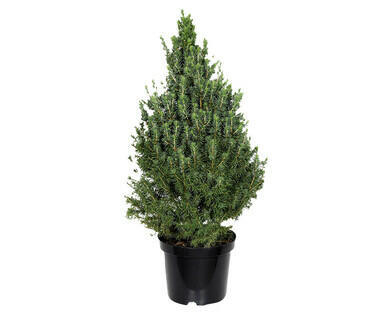 ALBERELLO DI NATALE SENZA DECORAZIONI