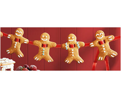 Gingerbread Cookie Mix 505g