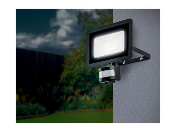 Livarno Home LED Outdoor Light
