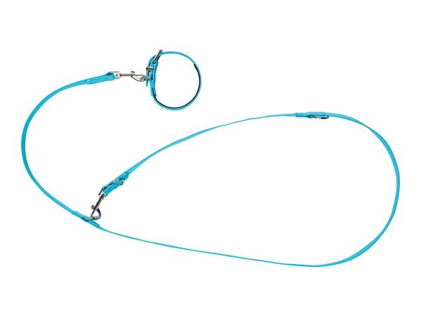 Zoofari Dog Collar and Lead