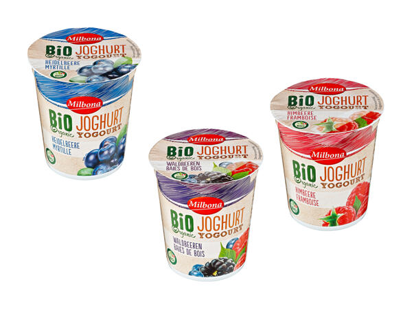 Yogourt aux fruits bio