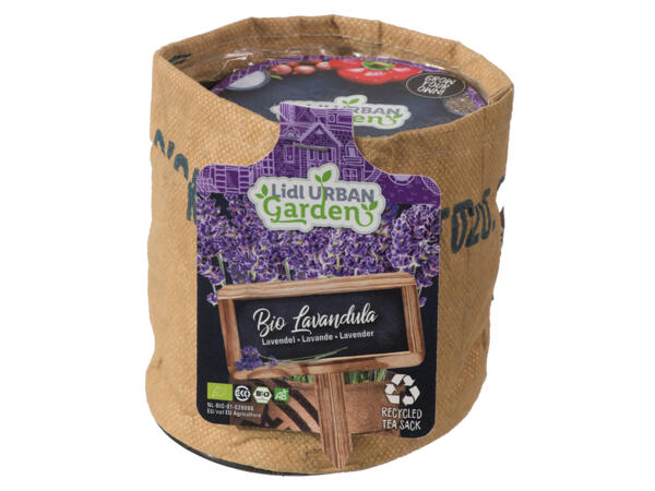 Kitchen Garden Kit