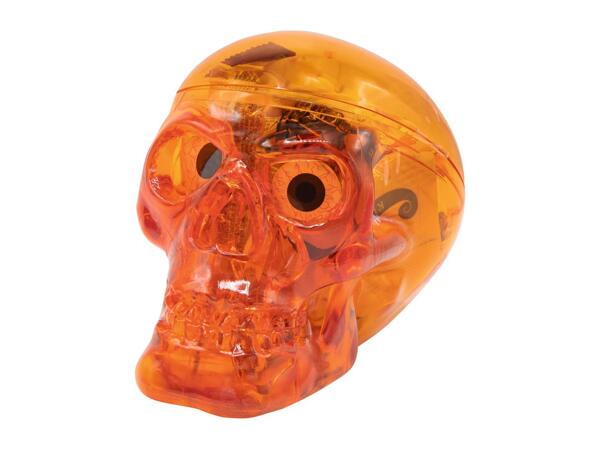 Halloween Candy Skull