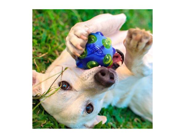 Nerf Dog LED Bubble Toys - Squeak Bubble Ball