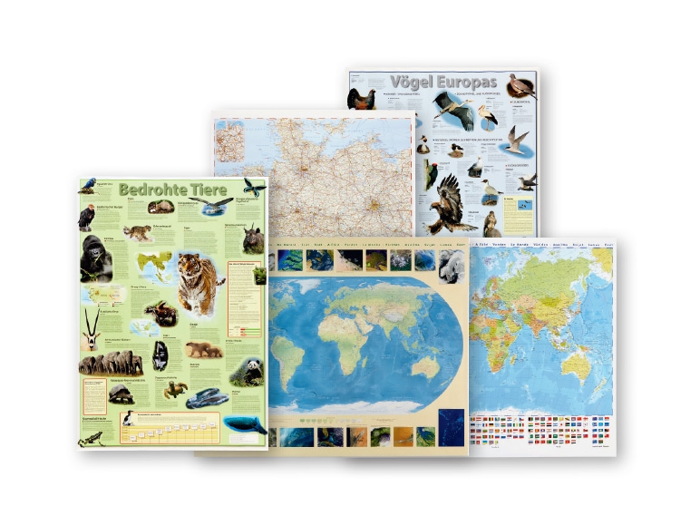 Wall Map/Learning Poster