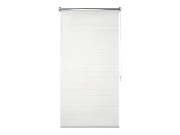 Window Blind