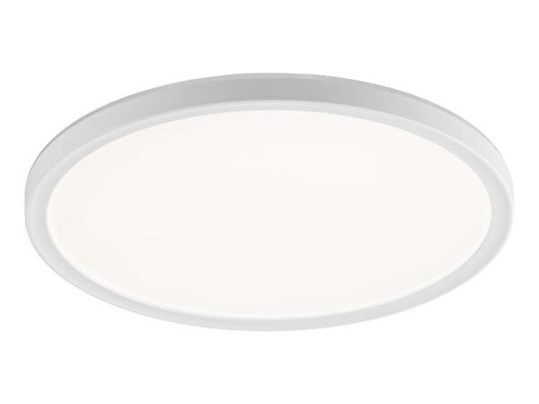LIVARNO home Stropní LED svítidlo s pohybovým senzorem