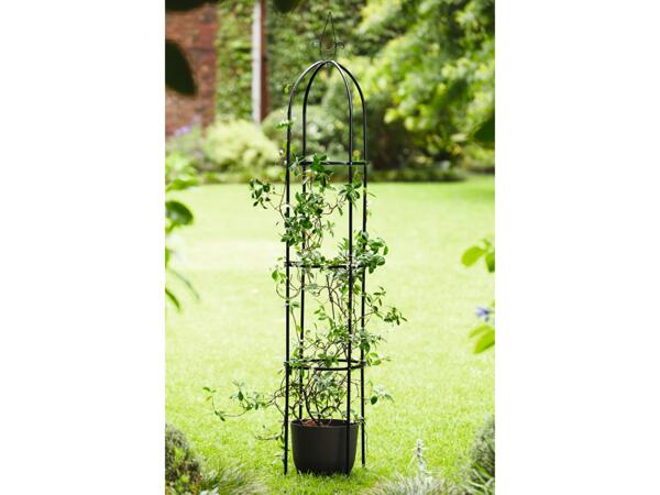 Rose Arch/Garden Obelisk