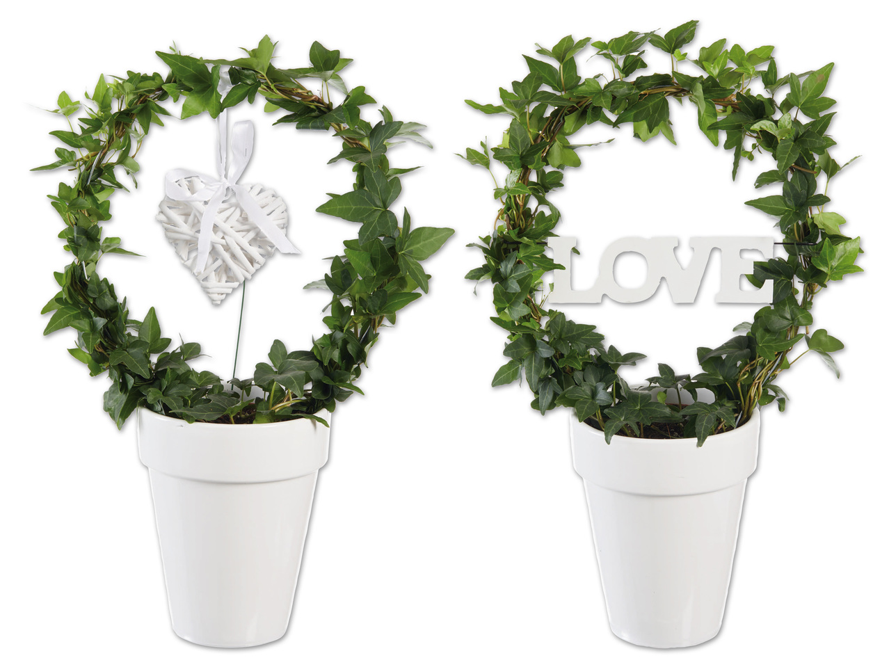 Hedera Bogen mit Hänger