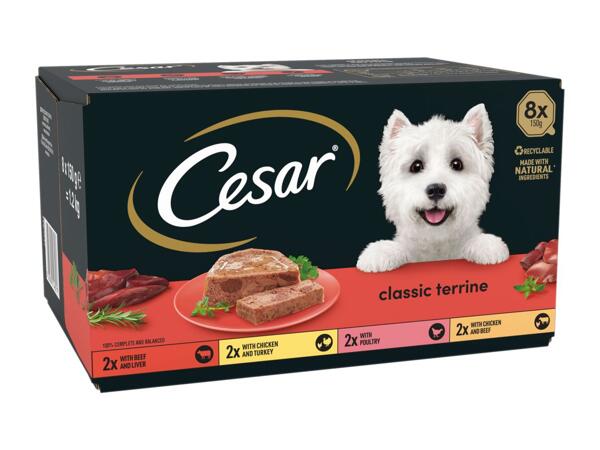 Cesar Mixed Wet Dog Food Classic Terrine Tray