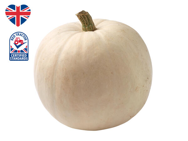 British Large Ghost Pumpkin