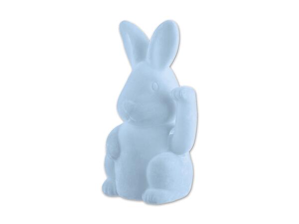 Winke-Hase
