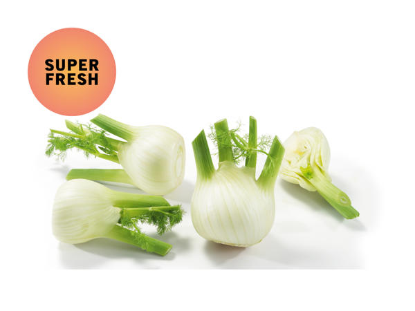 Fenchel