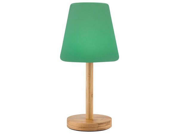 Table Lamp for Outdoor Use