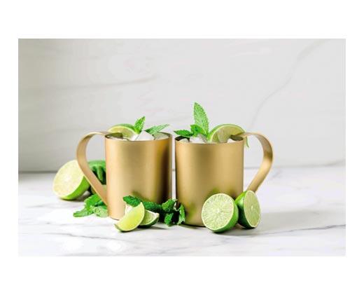 Crofton 
 2-Pack Moscow Mule Mugs