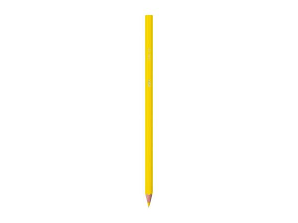 BIC Stationery Assortment