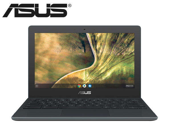 ASUS 11.6" Chromebook C204MA