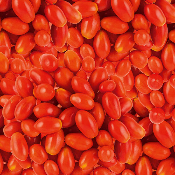 Bio-Dattel-Cherrytomaten
