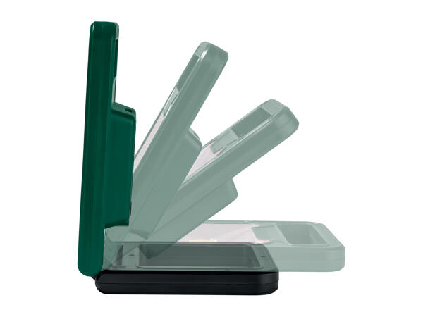 Parkside COB LED Light