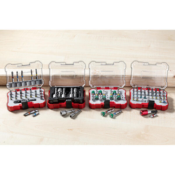 S2-Bit- und Stecknuss-Set
