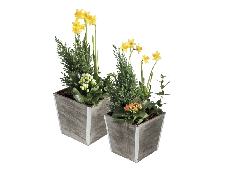 Autumn Planter
