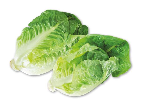 Økologisk dansk hjertesalat