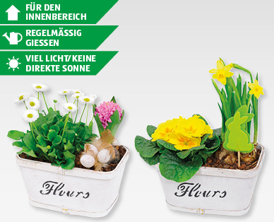 GARDENLINE(R) Bepflanztes Osterarrangement