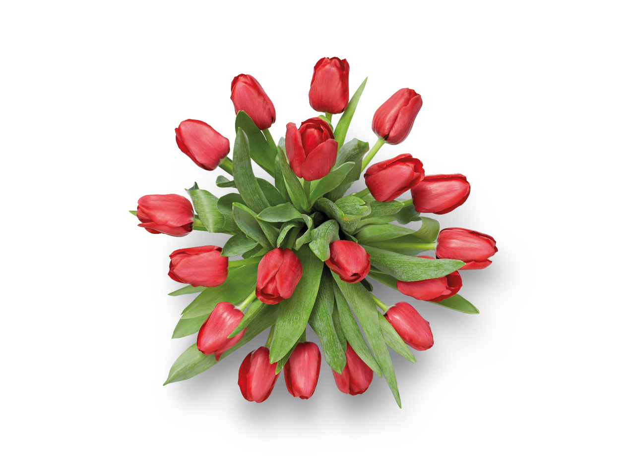 Large Tulip Bouquet1