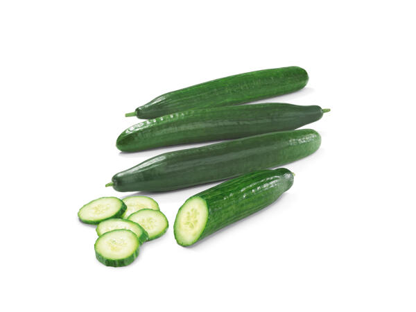 Dutch Cucumber