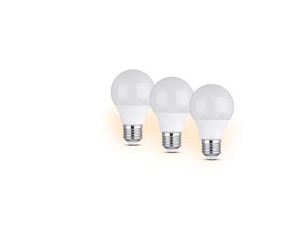 LIVARNO home LED žárovka, 2 kusy / 3 kusy