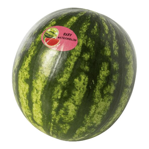 Mini-Wassermelone