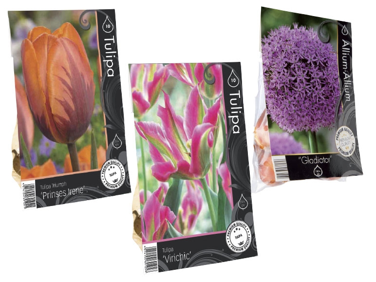 Premium Flowering Bulbs