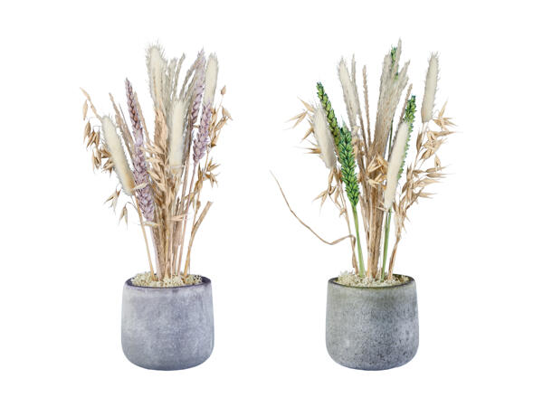 Fleurs séchées dans un pot de verre