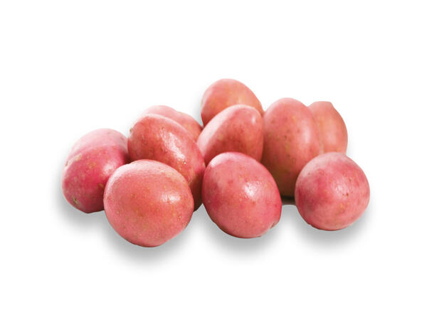 Rooster Potatoes XXL