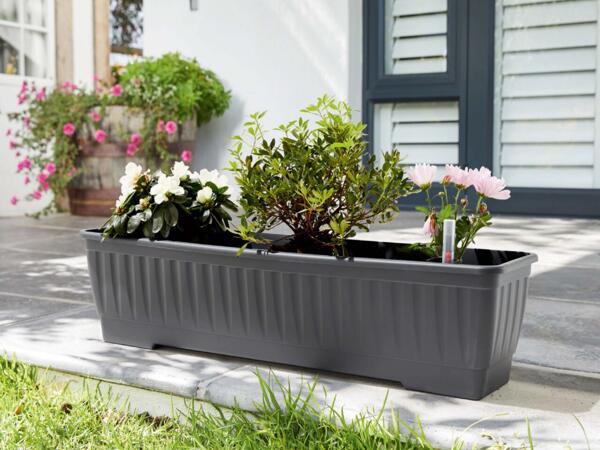 Trough Planter