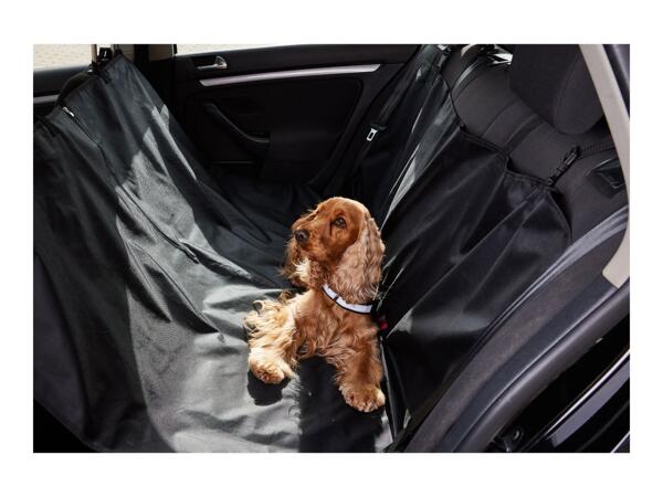 Zoofari Car Seat Cover