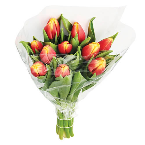 Easter 10 Stem Tulip Bouquet - Assorted Color