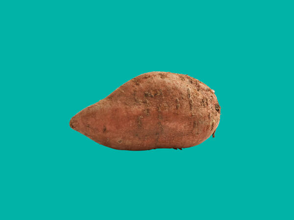 Sweet Potato
