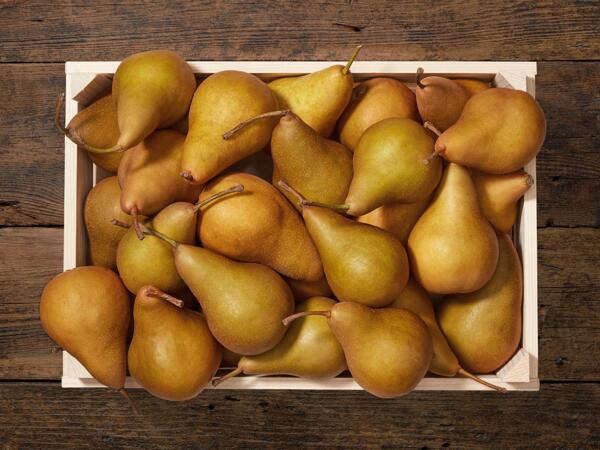Poires