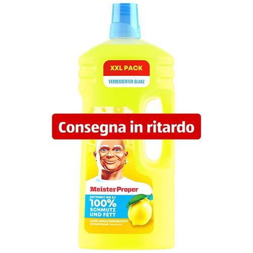 Meister Prop. Detergente universale