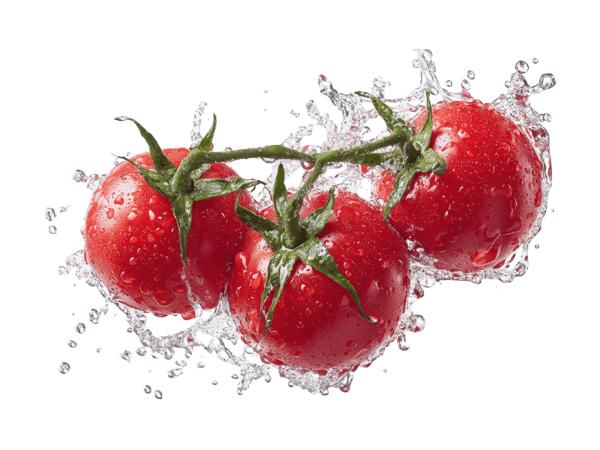 Cocktailstrauchtomaten aus Österreich