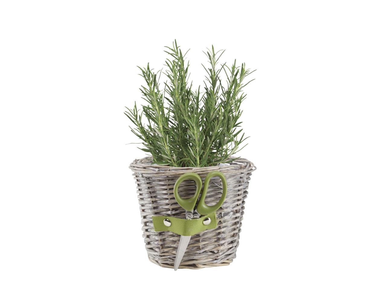 Flower Pot with Mini Garden Tools
