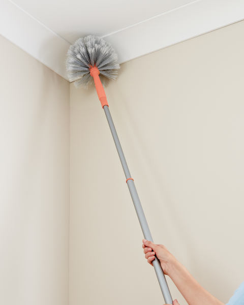 Easy Home Cobweb Duster